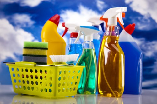 Professional home cleaners in Twickenham providing domestic cleaning services