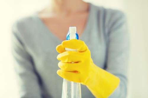 Scheduled house cleaning support in Twickenham