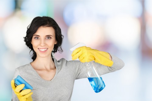Professional cleaners in Twickenham servicing a family home