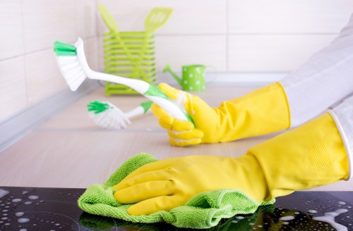 Flexible domestic cleaning support for homes in Twickenham