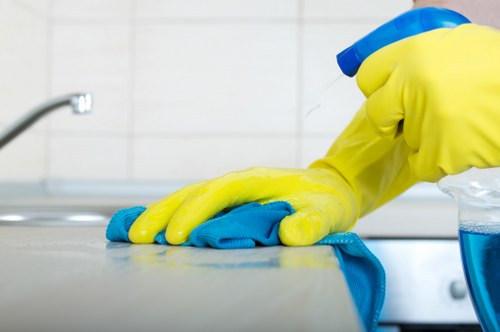 Local cleaner in Twickenham supporting property upkeep