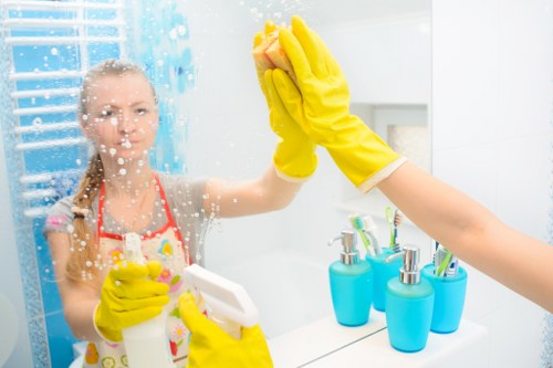 Deep cleaning in Twickenham bathroom with detailed sanitising