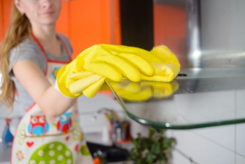 Twickenham Cleaners terms and conditions introduction