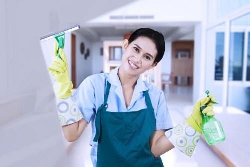 Thorough local cleaning for a Twickenham house or apartment