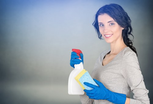 SSL-encrypted Twickenham Cleaners payments interface
